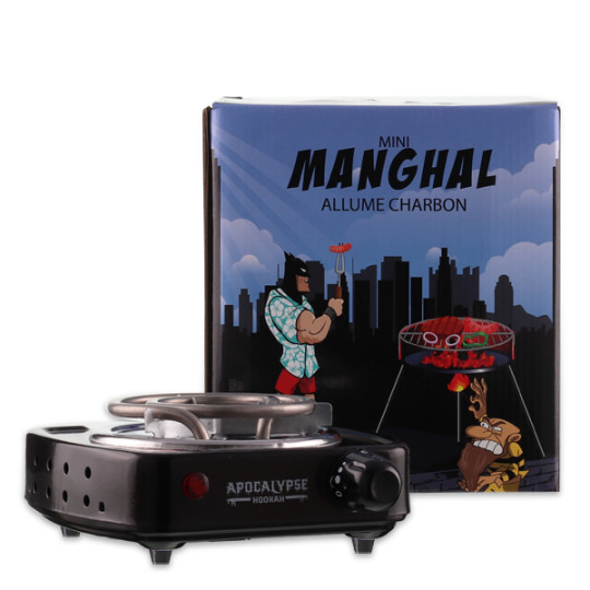 PETIT ALLUME CHARBON 500W