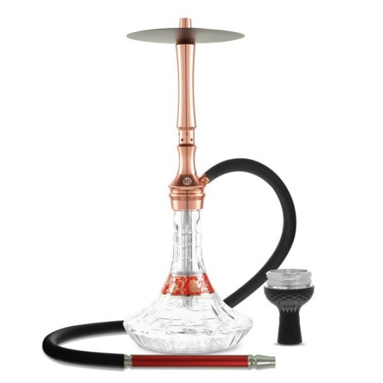 MS ZENITH - Chicha traditionnelle et moderne