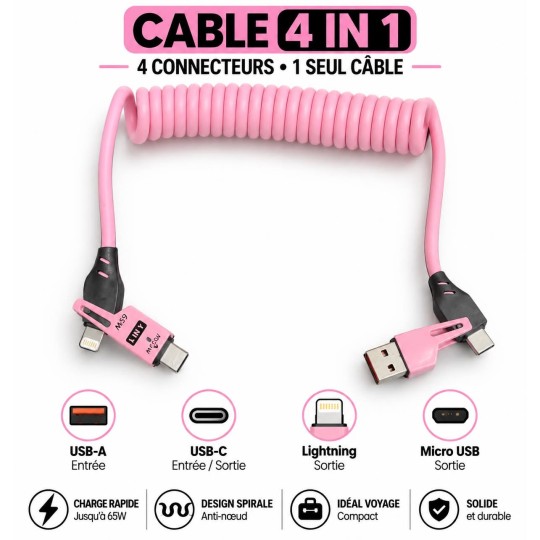 Câble 4 en 1