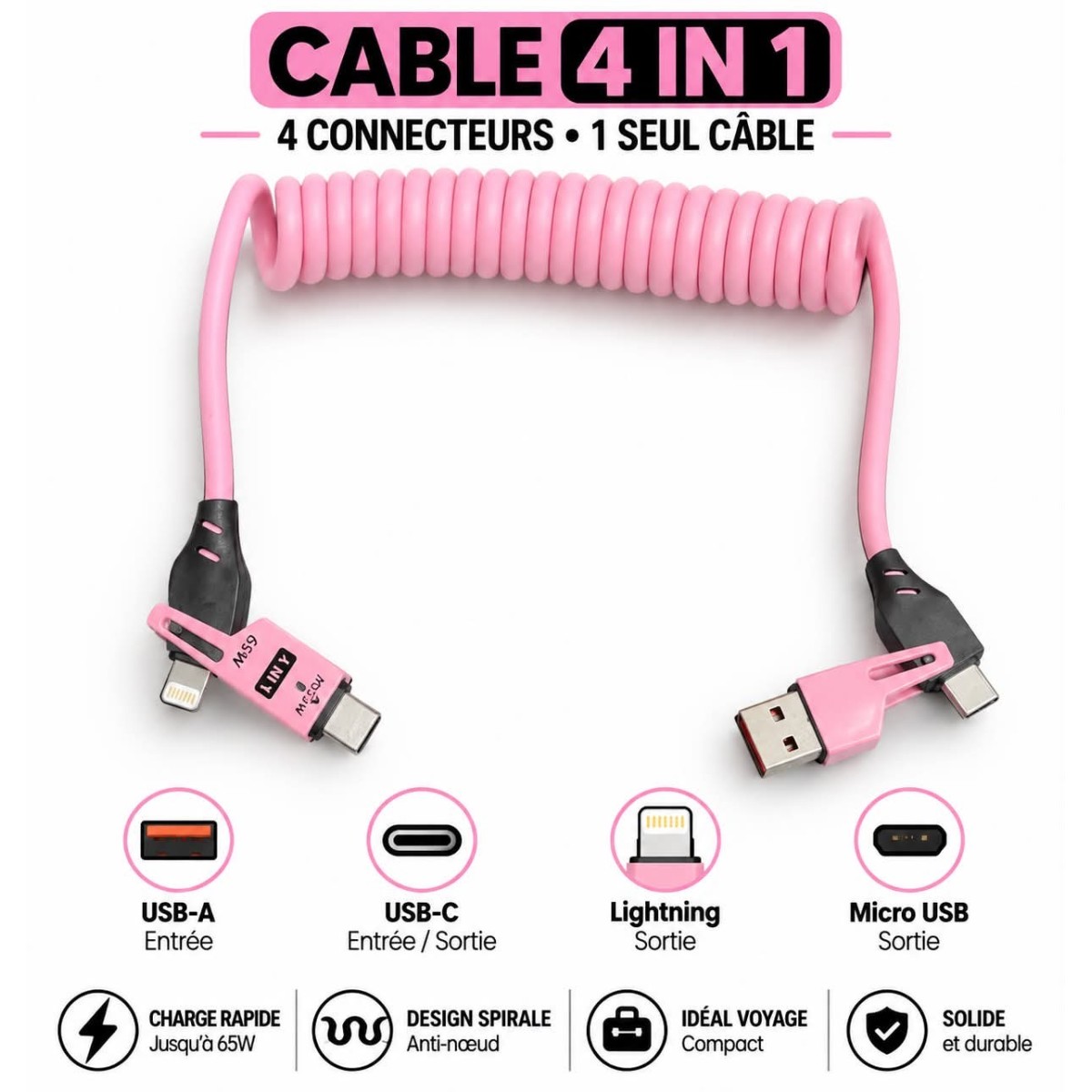 Câble 4 en 1